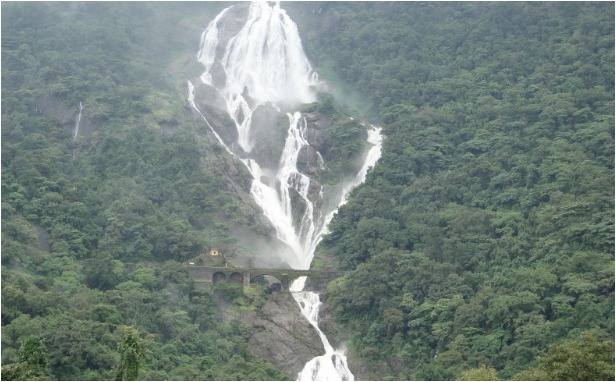 Entry to Goa’s Dudhsagar Waterfall Restricted