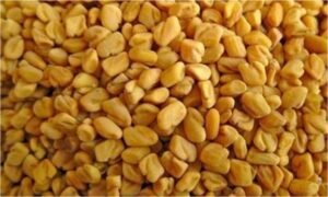 Methi seeds have shown potential benefits in reducing cholesterol levels