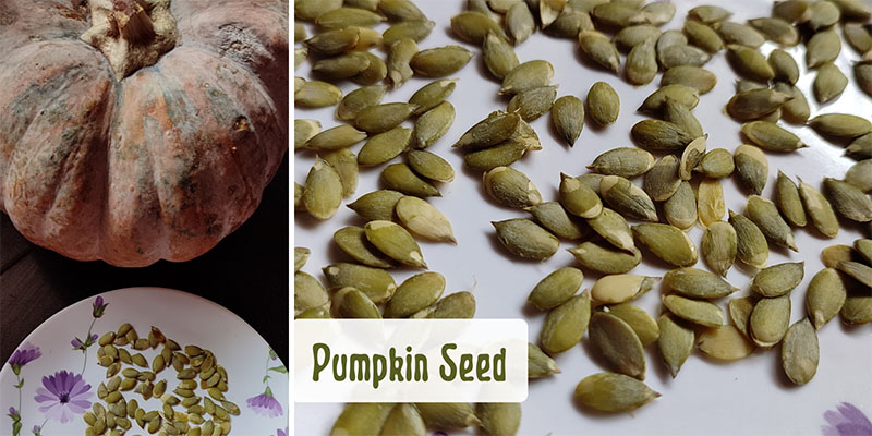 Pumpkin Seeds