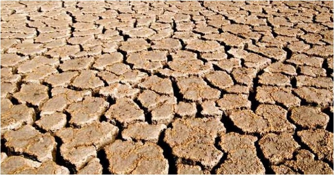 Tamil Nadu government has declared six districts as drought-affected