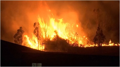 Delhi: Massive fire breaks out in footwear factory