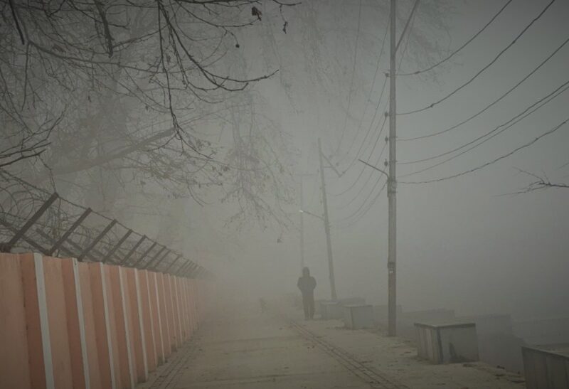 IMD Issues Red Alert for North India: Cold Day and Dense Fog Expected for Next Five Days