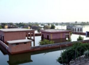 907 dead, 1,044 injured due to rains and flooding across Pakistan