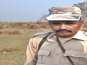Forest guard killed, another injured in rhino attack in Kaziranga National Park