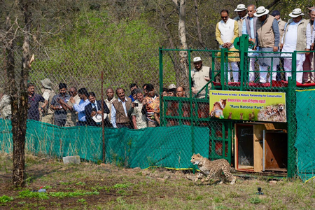 Environment Minister Bhupender Yadav welcomes 9 cheetahs from Botswana at Kuno