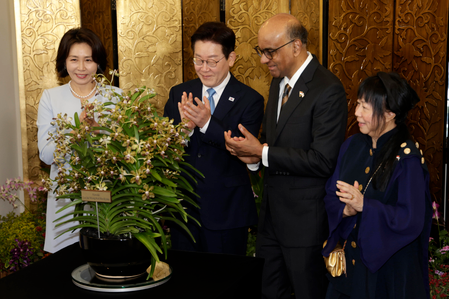 South Korea: Lee set to hold summit talks with Singapore PM to discuss AI, nuclear energy