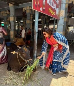 Shamita Shetty feeds cows at Tirupati, Shilpa Shetty says ‘You ARE blessed’