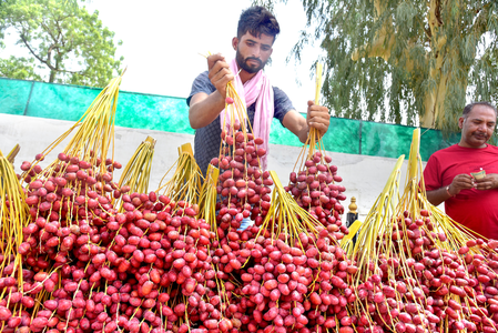 Over 75.5 lakh street vendors avail 112 lakh loans under PM SVANidhi