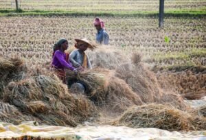 Time for greater workforce formalisation, expansion of social security coverage: SBI report