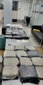 Hydroponic marijuana worth Rs 34.9 crore seized at Delhi airport from Bangkok passengers
