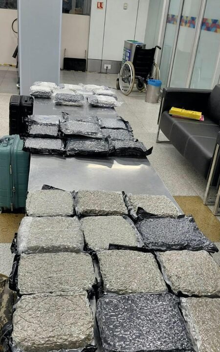 Hydroponic marijuana worth Rs 34.9 crore seized at Delhi airport from Bangkok passengers
