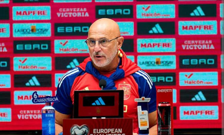 Spain coach De la Fuente: World Cup squad has already been decided