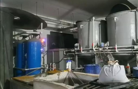 Four workers die after inhaling toxic gas during tank cleaning at jewellery unit in Surat