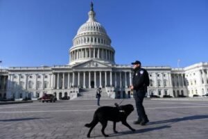 US senators challenge immigration freeze