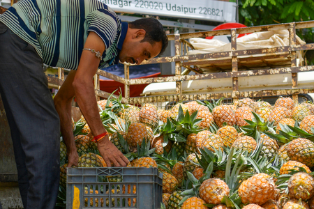Meghalaya to showcase premium pineapples at Delhi festival