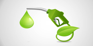 Govt dismisses reports calling E20 programme an ‘experiment’ as false