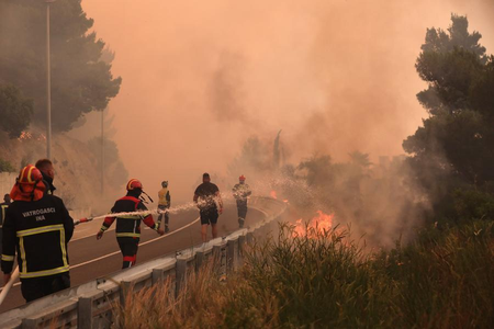 Portugal activates EU Civil Protection Mechanism as extreme heat fuels wildfire risk