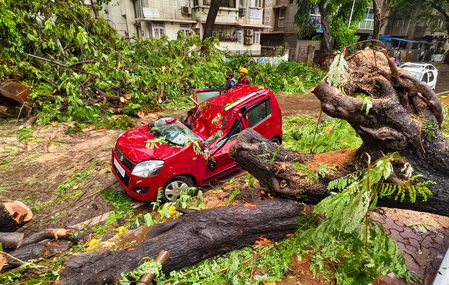 Maharashtra monsoon fury: Red alert issued; casualties rise, major transit arteries shut
