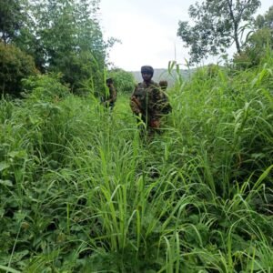 Two Assam Rifles personnel killed in suspected Naga armed group ambush in Manipur (Lead)