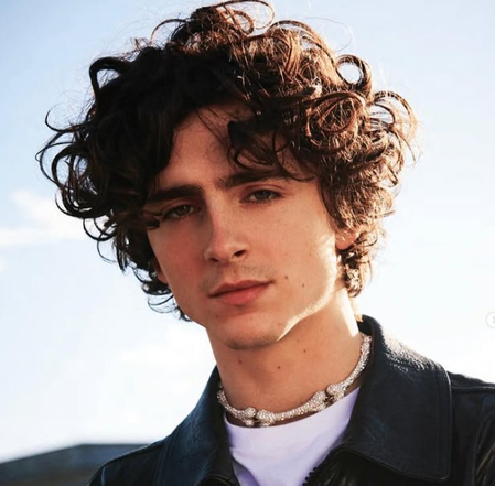 Timothee Chalamet says ‘Dune: Part Three’ is ‘different movie’ from previous films