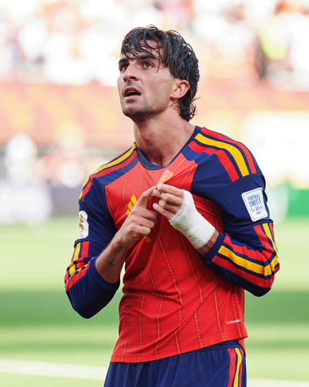 Torres says fate favoured Spain in World Cup final