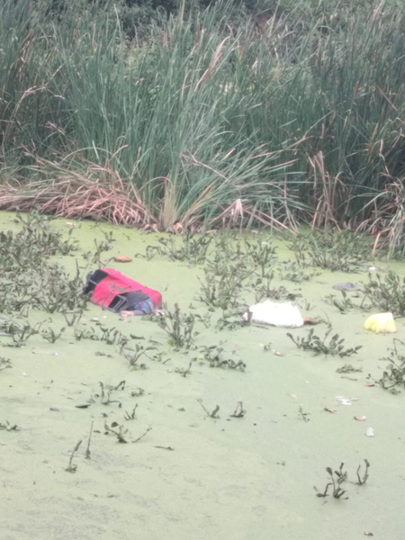 Woman’s body stuffed inside suitcase found in Bengaluru lake