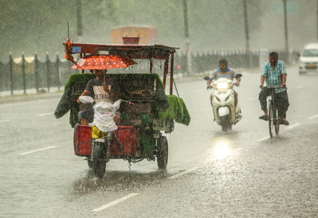 Heavy rain, thunderstorms likely in Bihar over next 48 hours