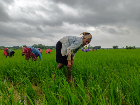 Cabinet okays continuation of PM-KISAN scheme from 2026-27 to 2030-31 with Rs 3.15 lakh crore outlay