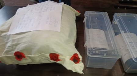 NCB crackdown forces Myanmar drug cartels into forests and river routes