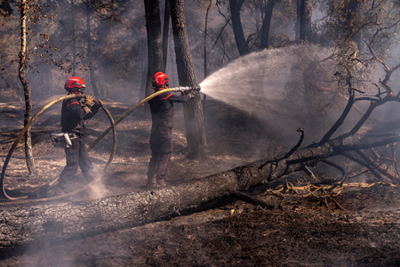 Over 220,000 evacuated in France as raging wildfires spread