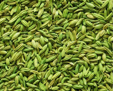 ‘Gujarat secured Cumin, Fennel GI tags via misleading claims’, say Rajasthan farmers seeking revocation