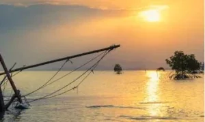Goa gets ₹254 crore boost under Central fisheries schemes, over 4,800 beneficiaries covered