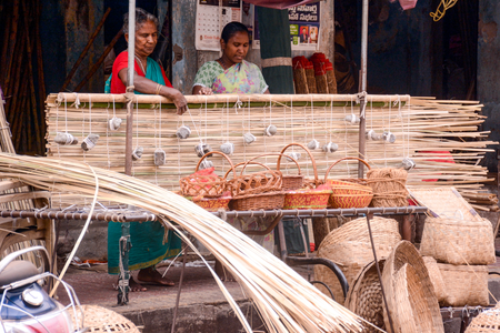 Meghalaya launches bamboo carbon project to restore degraded land, boost rural incomes
