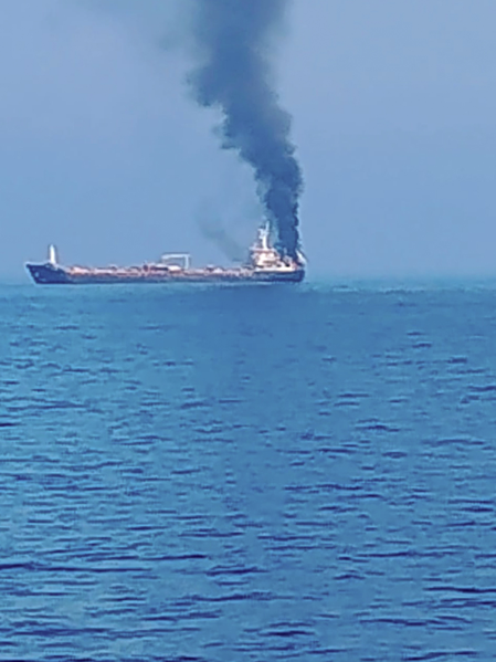 One seafarer missing after bulk carrier catches fire near Strait of Hormuz
