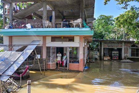 Assam flood: Power bill waiver for Sivasagar, Charaideo; seven districts affected