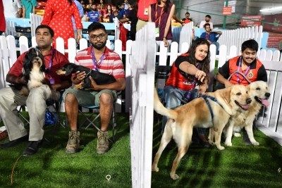 Gujarat: Nearly 20,000 pet dogs registered in Ahmedabad; Labradors emerge as ‘most popular’ breed