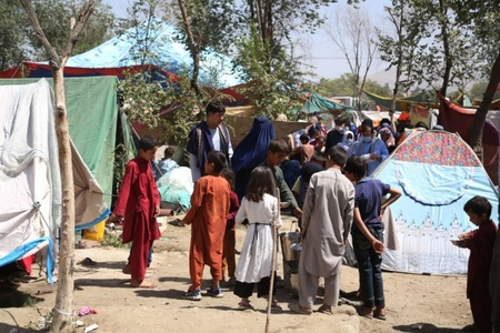 14 million people in Afghanistan face acute food insecurity: World Food Programme