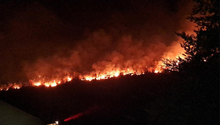 Serbia battles wildfires as extreme heat, drought intensify