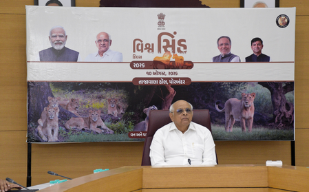 Lion conservation in Gujarat aimed at protecting entire ecosystem, says CM Patel
