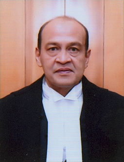 Justice Varma cash row: Panel rejects his defence, finds charges proved  (Lead)