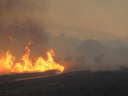 Wildfire in western US’ Nevada destroys dozens of homes, injures 7