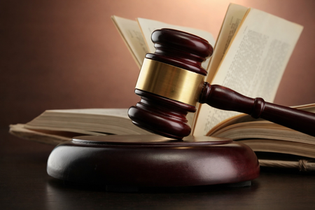 Madras HC reserves order on Annamalai plea in hate speech case