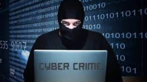 Indore Police probing cyber fraud racket using name of TN CM Vijay’s foundation