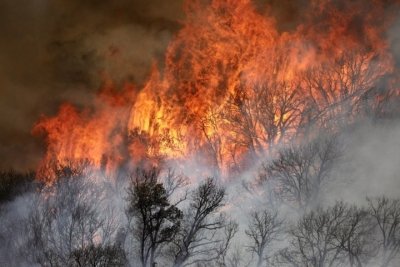 Two killed in helicopter crash fighting wildfire in US state of Utah