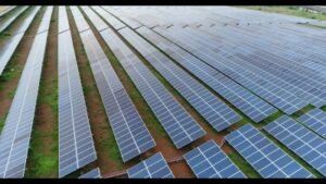 India spearheads Global South’s big push for renewable energy