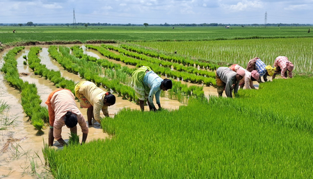 Celebrating women farmers’ contribution beyond cinematic representation