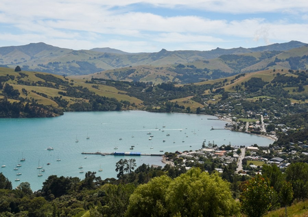 New Zealand’s international education export earnings surge past pre-COVID levels: minister