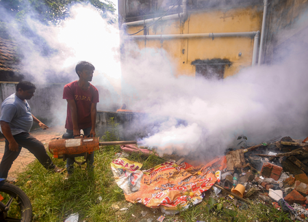 Dengue, swine flu cases surge in Tamil Nadu; doctors urge vigilance ahead of monsoon