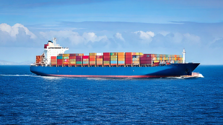 Exporters can now apply for certificates of origin directly from their business software: Govt
