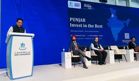 Punjab minister invites UAE investors with fast-track approvals